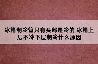 冰箱制冷管只有头部是冷的 冰箱上层不冷下层制冷什么原因